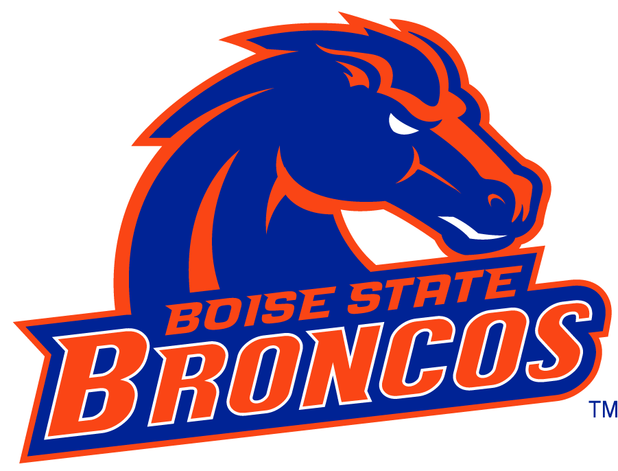 Boise State Broncos 2002-2012 Secondary Logo v20 iron on transfers for clothing